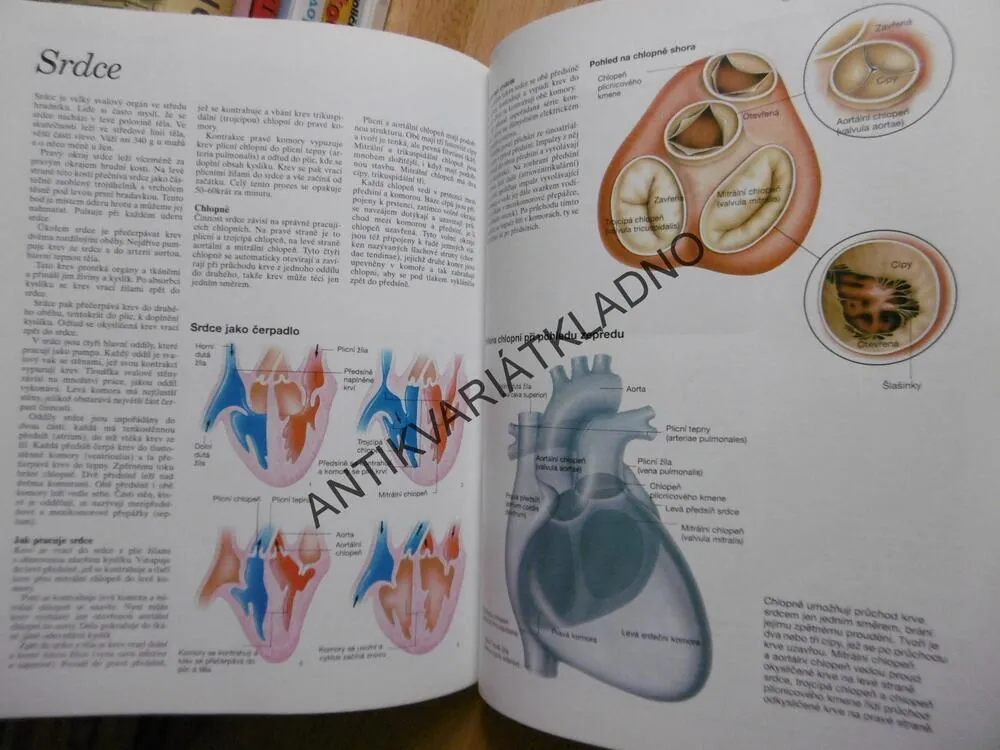 ATLAS LIDSKÉHO TĚLA, ANATOMIE, ILUSTROVANÝ ATLAS,