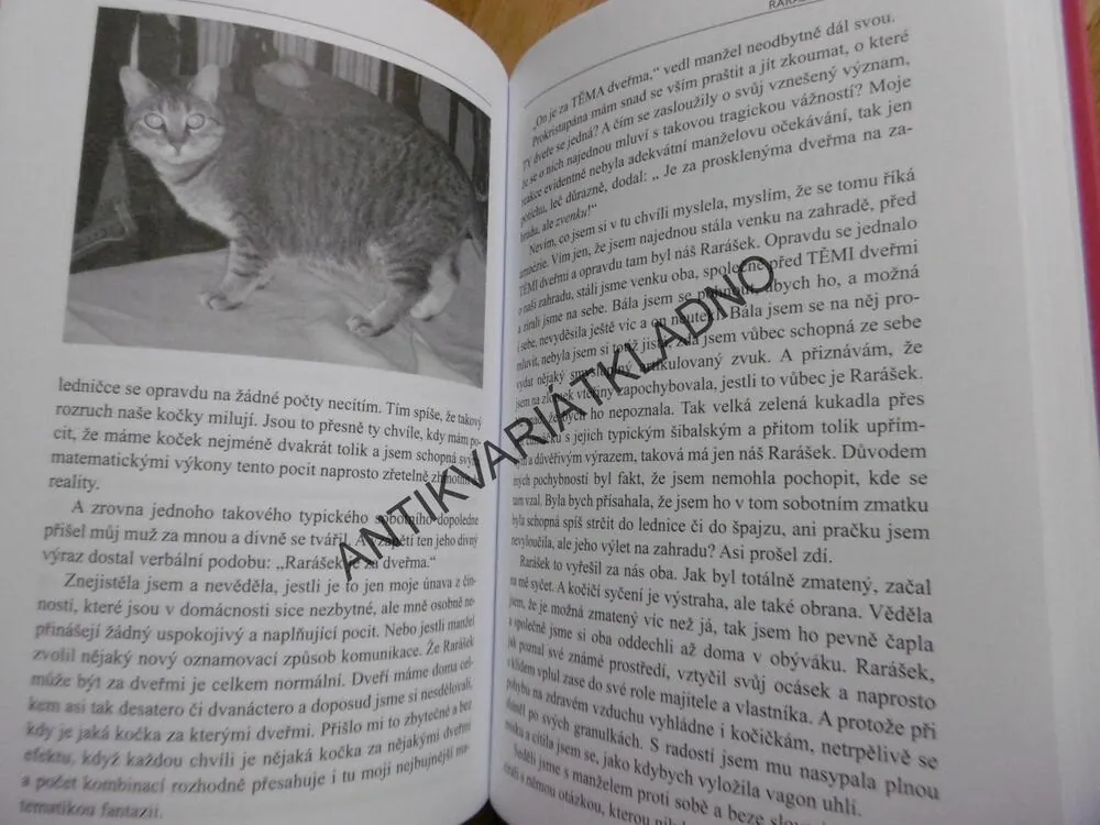 KOČIČÍ POVÍDÁNÍ ANEB JAK NÁM KOČKY DOVOLILY S NIMI BYDLET, ROMANA JUNKOVÁ, **an