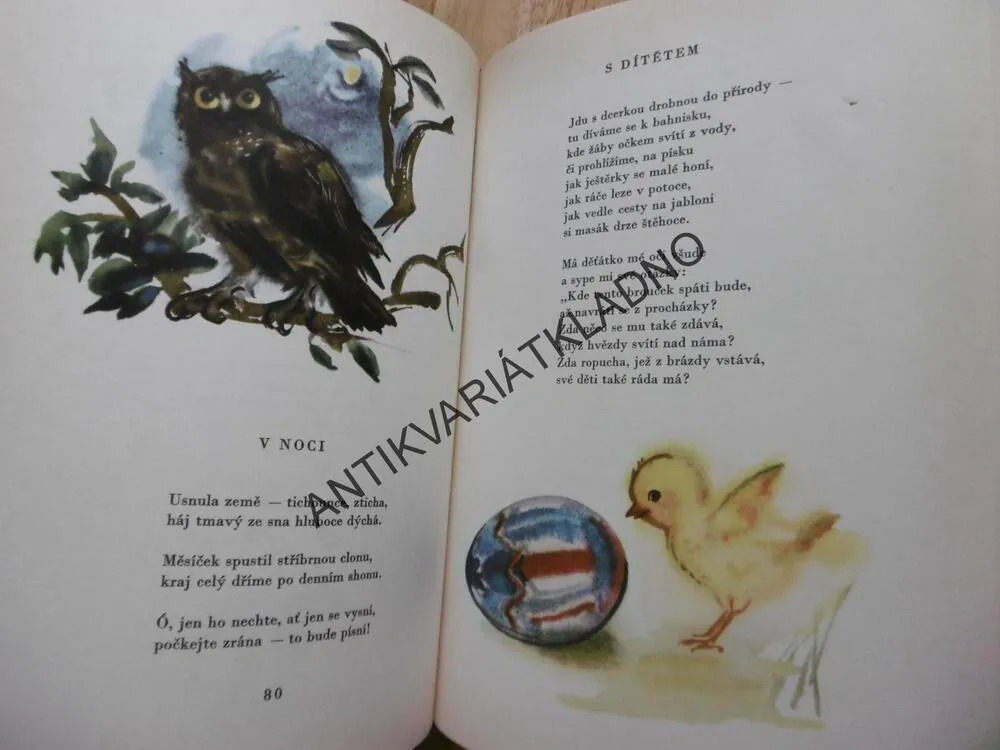 CESTIČKA K DOMOVU, KAREL V.RAIS, DANIELA HAHNOVÁ