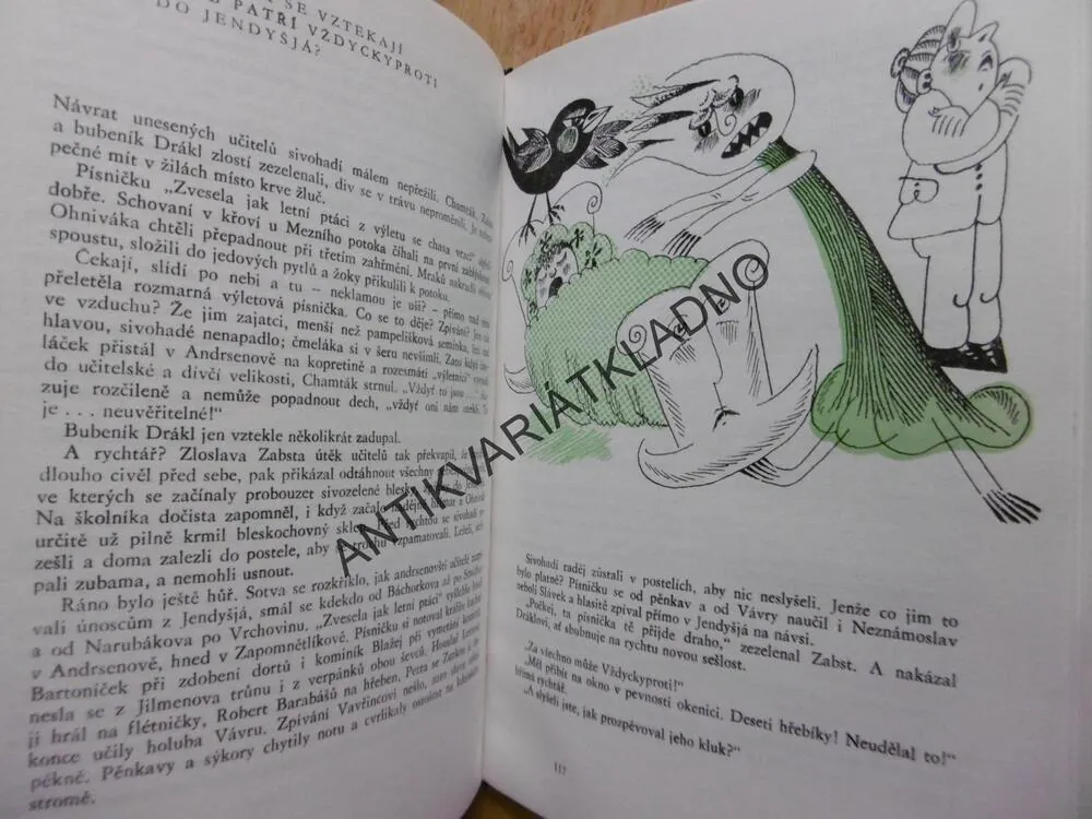 LETNÍ SLUNOVRAT V DOLNÍM ANDERSENOVĚ, ANNA KRATOCHVÍLOVÁ, **an