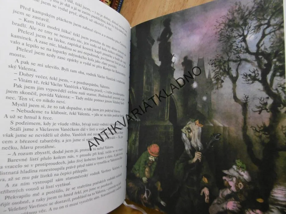 KAM BĚŽÍ MODRÁ LIŠKA, ANDREJ GJURIČ, JAN ČERNÝ, **an
