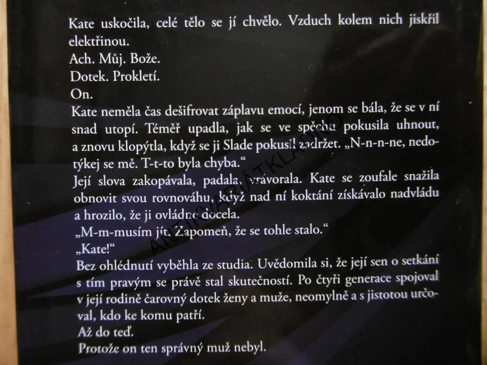 HLEDÁNÍ VYTOUŽENÉHO DNE, JENNIFER PROBSTOVÁ,