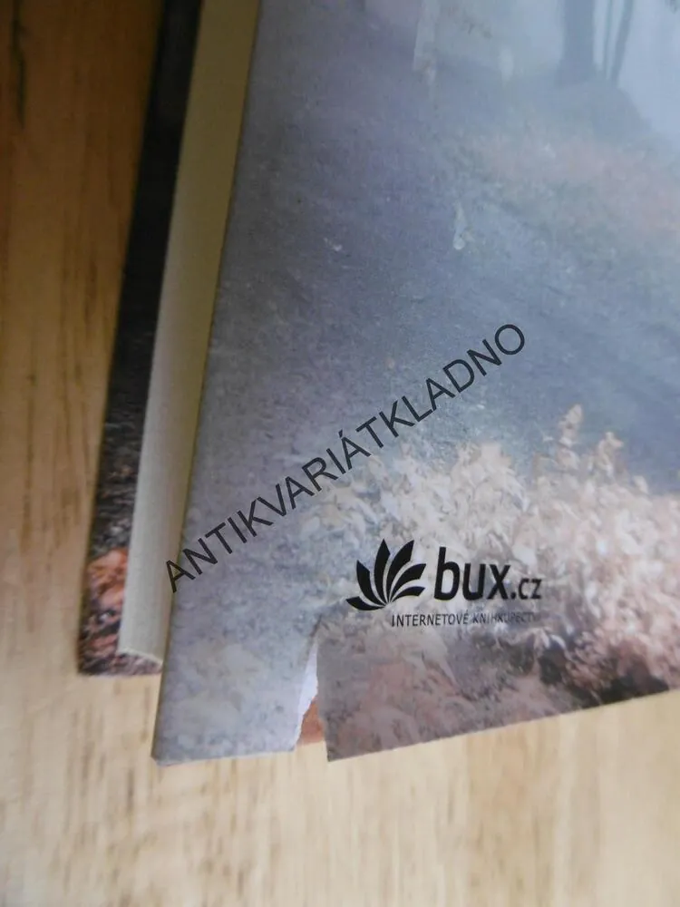 V ŽÁRU LÁSKY, SANDRA BROWN, **an