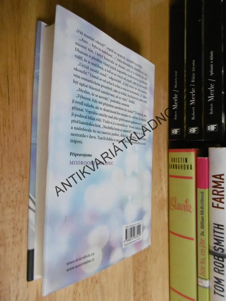 KOUZLO, DANIELLE STEEL