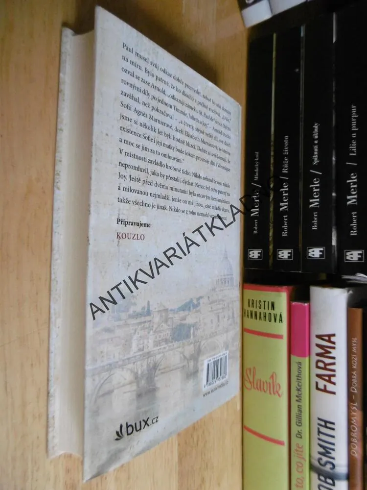 VZÁCNÉ DARY, DANIELLE STEEL, **an