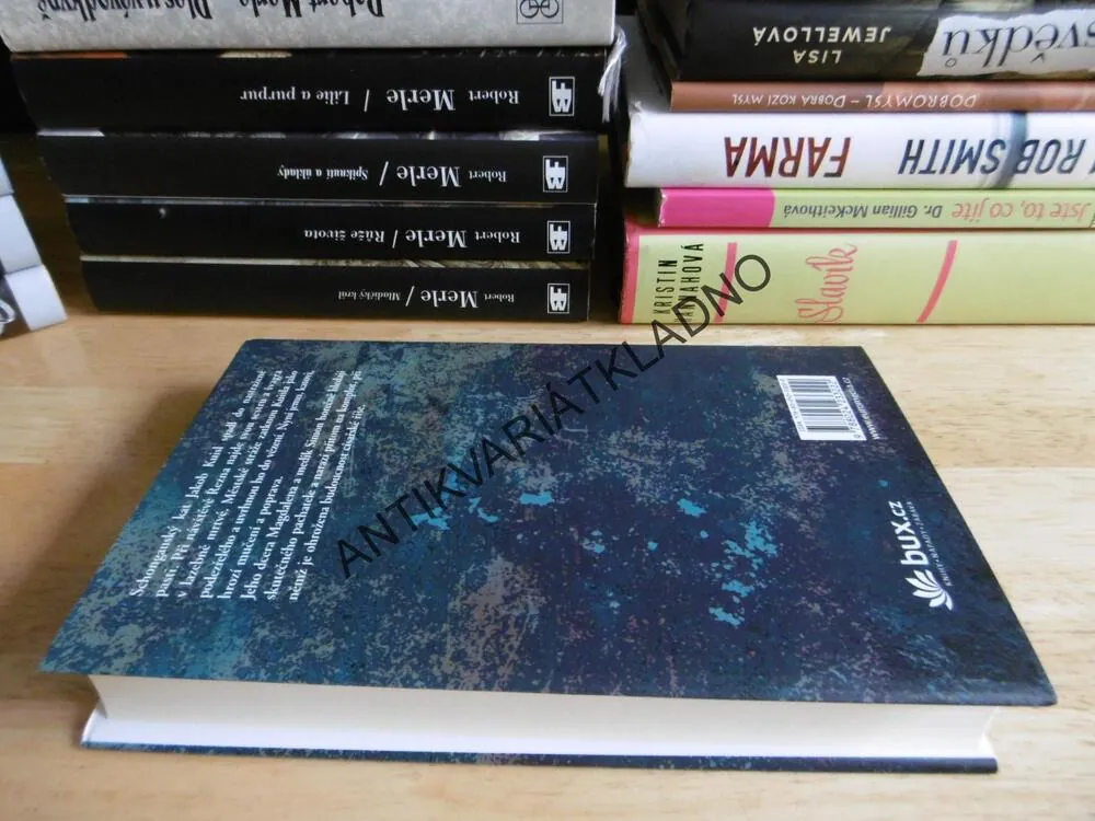 KATOVA DCERA A KRÁL ŽEBRÁKŮ, OLIVER PÖTZSCH, **an