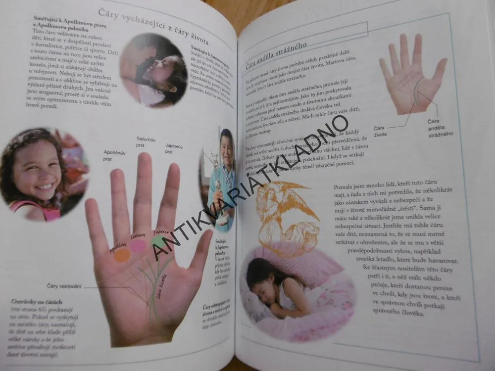 ČTENÍ Z DĚTSKÉ RUKY, ANNE HASSETT, ODHALTE NADÁNÍ A SCHOPNOSTI SVÉHO DÍTĚTE