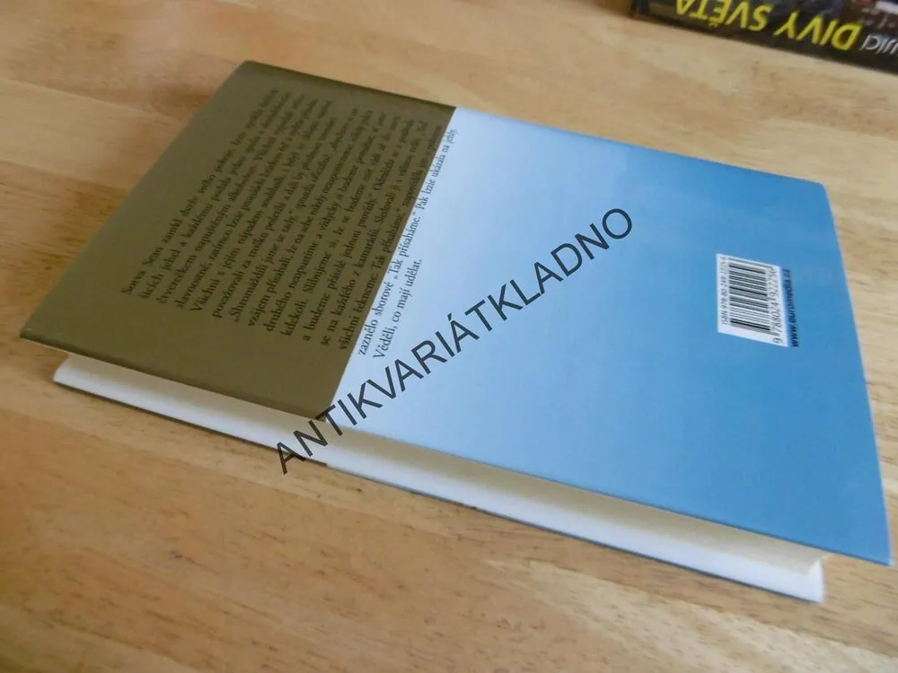 PŘÁTELÉ NAVŽDY, DANIELLE STEEL