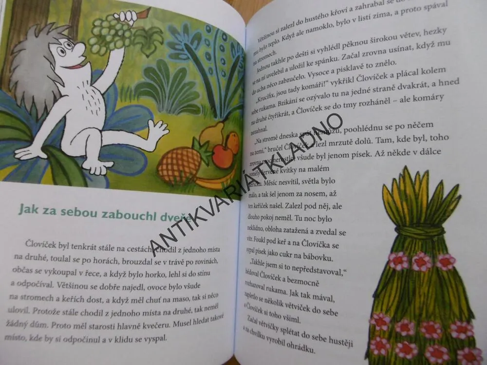 ČLOVÍČKOVA DOBRODRUŽSTVÍ, PAVEL TEISINGER, **an