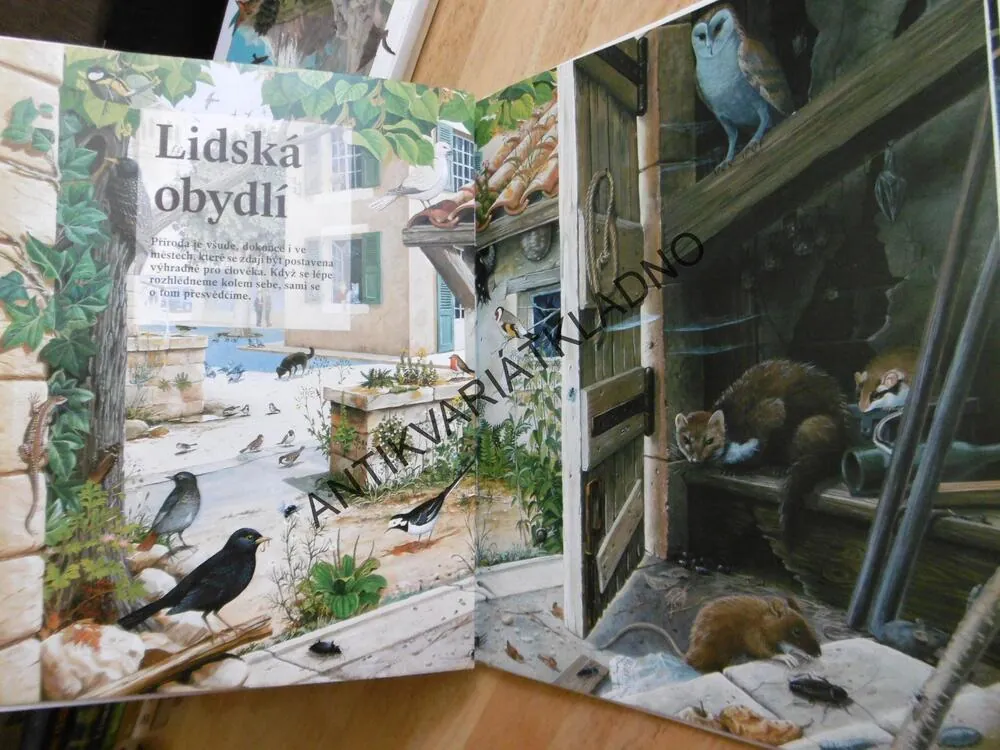 ZÁZRAČNÝ SVĚT PŘÍRODY, 1., HÁJE LOUKY, MOČÁLY, RAŠELINIŠTĚ, AJ.