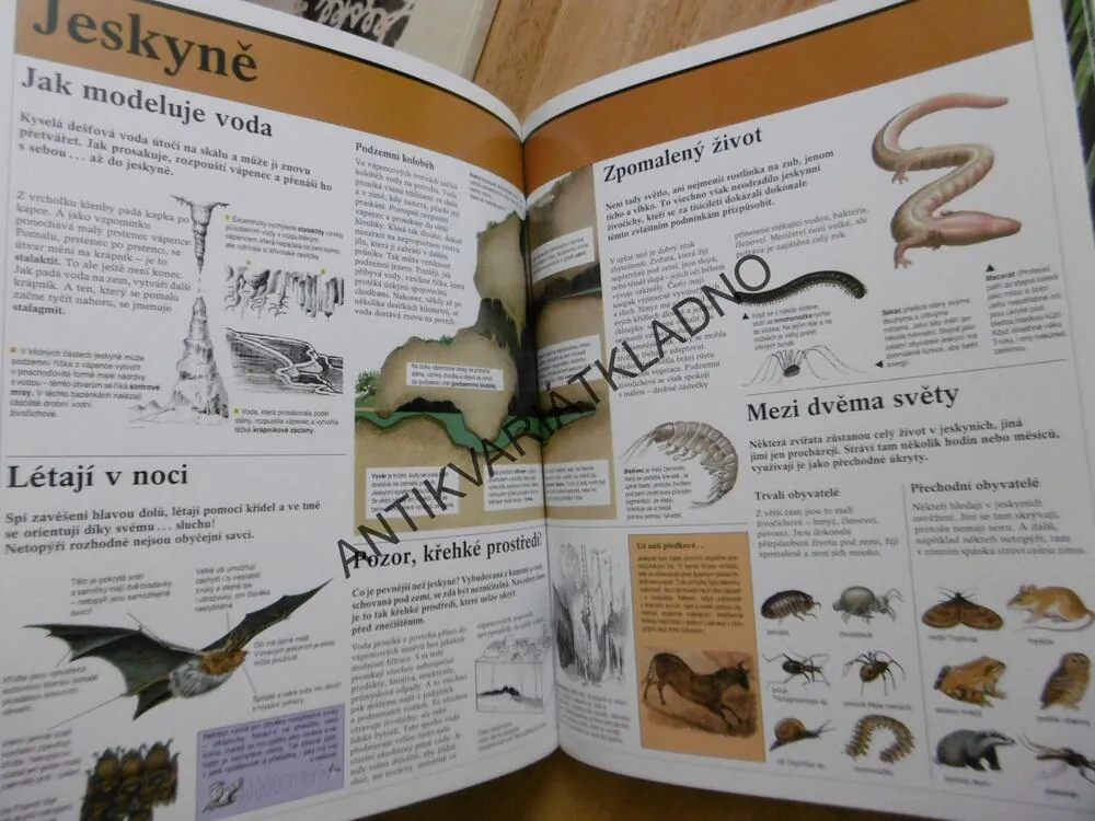 ZÁZRAČNÝ SVĚT PŘÍRODY, 2., GARRIQUE, JESKYNĚ, JEZERA, RYBNÍKY, ŘEKY, VELETOKY, POHOŘÍ
