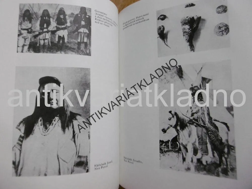 PLÁČ PTÁKA BOUŘLIVÁKA, CHARLES HAMILTON, 1965