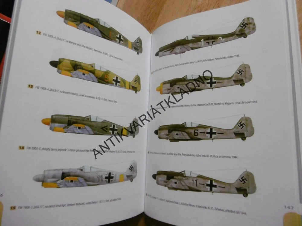 ESA NA FOCKE-WULFECH 190 NA ZÁPADNÍ A VÝCHODNÍ FRONTĚ, JOHN WEAL, **an