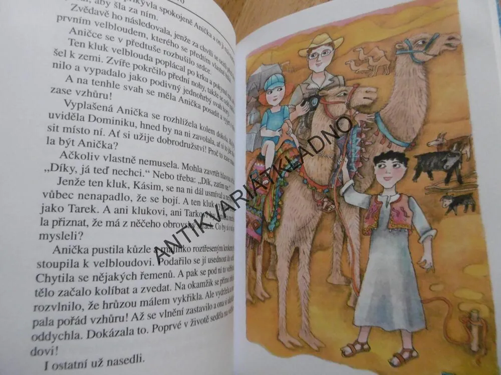 ANIČKA U MOŘE, IVANA PEROUTKOVÁ, EVA MASTNÍKOVÁ, **an