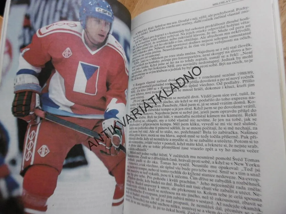 CESTY ZA SNEM, PAVEL BÁRTA, VLADIMÍR URBAN, 1992