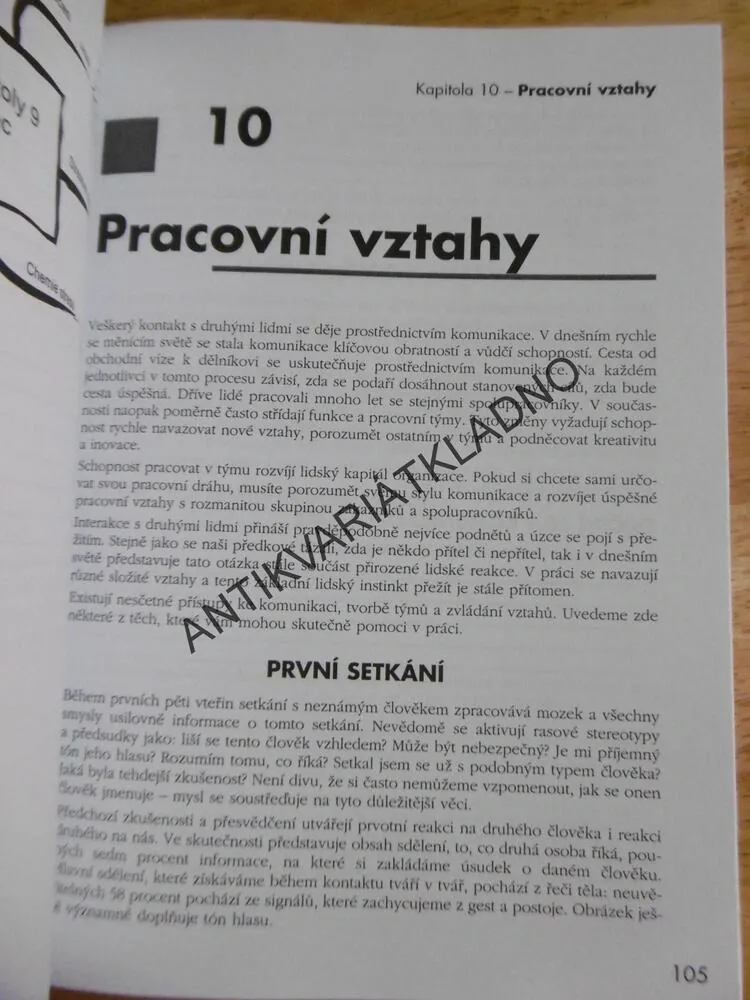 JAK SE PROSADIT V ZAMĚSTNÁNÍ, VYUŽIJ SVÉ SILNÉ STRÁNKY, RICHARD ISRAEL, 