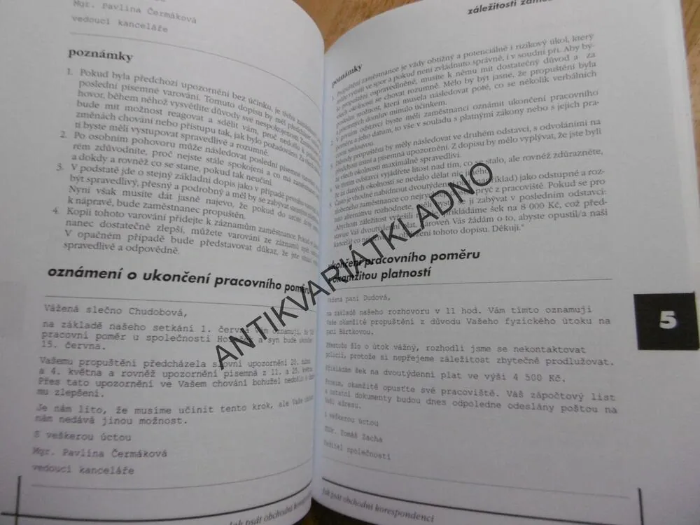 JAK PSÁT OBCHODNÍ KORESPONDENCI, VZORY, IAIN MAITLAND, **an