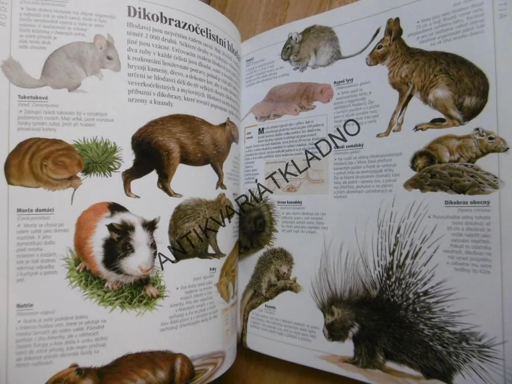OBRAZOVÁ ENCYKLOPEDIE ZVÍŘATA, RUPERT MATTHEWS, **an