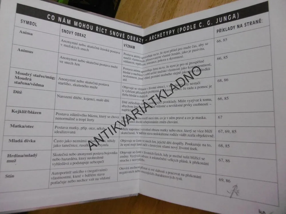 OBRAZY NAŠICH SNŮ, ANNELIE SCHLOBOHM, 