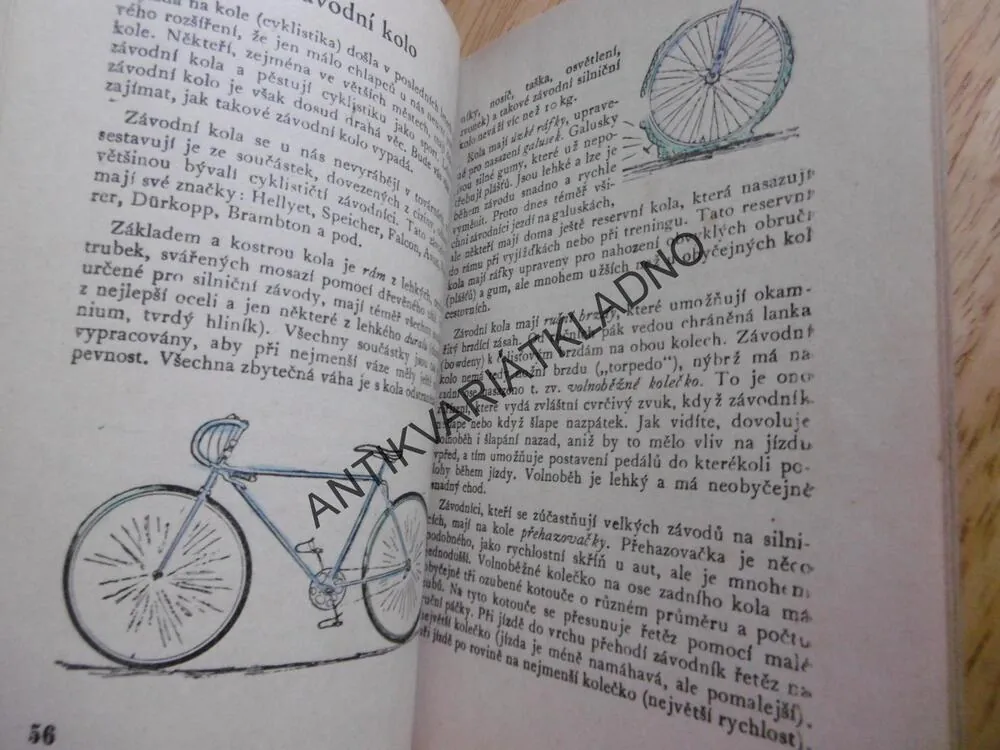 ZÁPISNÍK 13 BOBŘÍKŮ, JUNÁK , SKAUT,