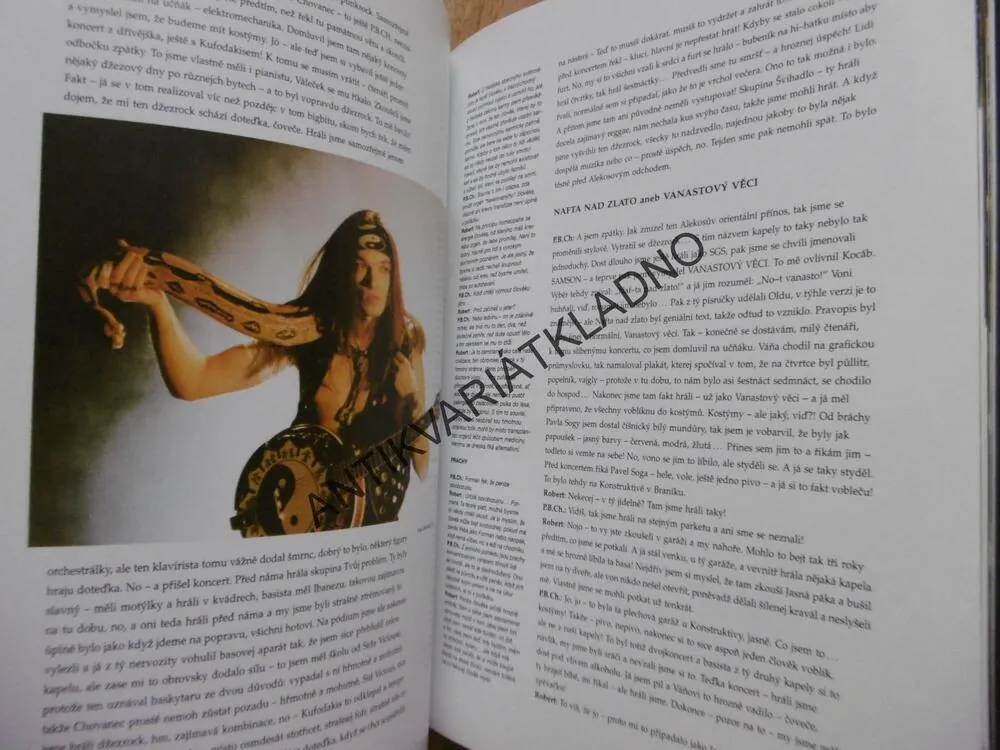 DIVNOKNÍŽKA, WANASTOWI VJECY, HUDEBNÍ SKUPINA, **an