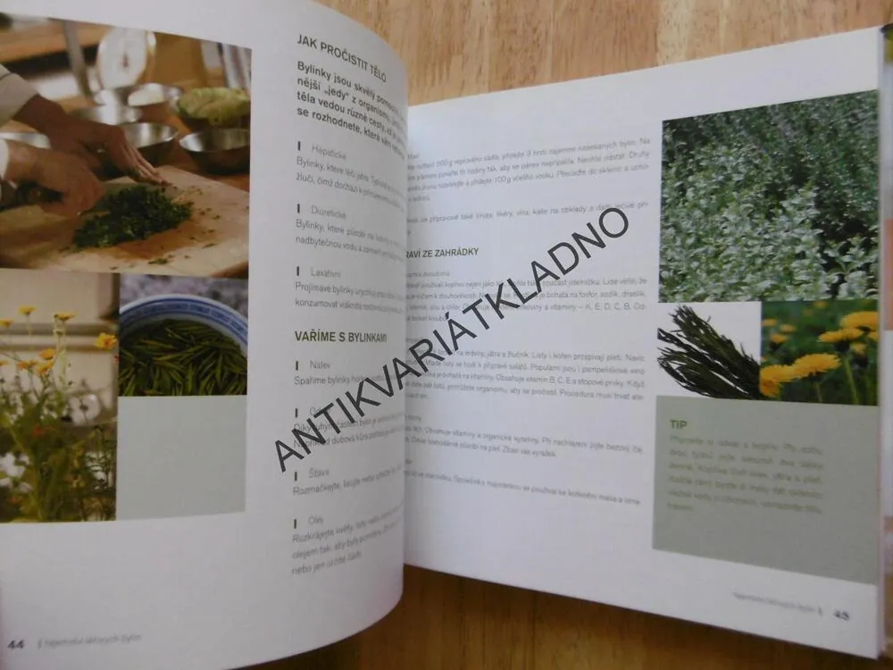 KRÁSA PODLE VLASTY LIBOTOVSKÉ, ŠŤASTNÁ VE SVÉ KŮŽI, LIBOTOVSKÁ, LITEROVÁ