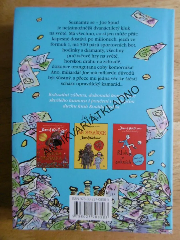 MALÝ MILIARDÁŘ, DAVID WALLIAMS, ZÁBAVA ZA VŠECHNY PENÍZE, **an