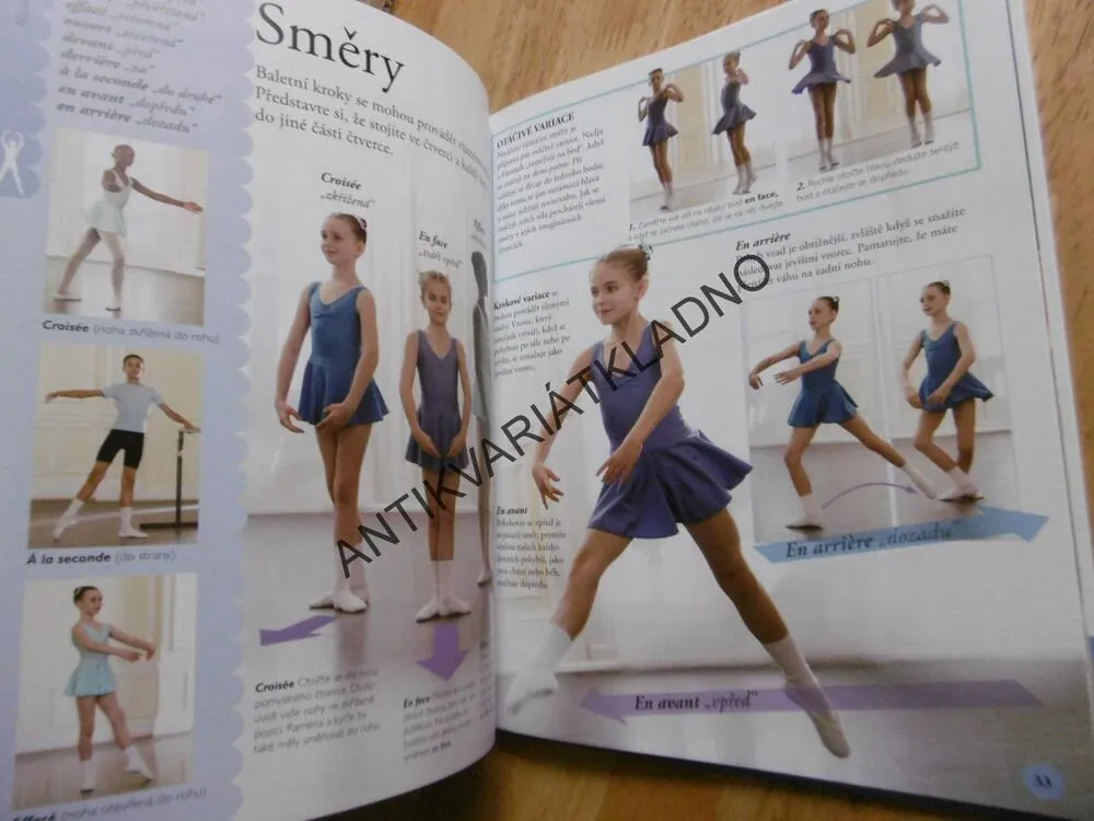 JAK NA BALET, PRŮVODCE TAJEMSTVÍM BALETU KROK ZA KROKEM