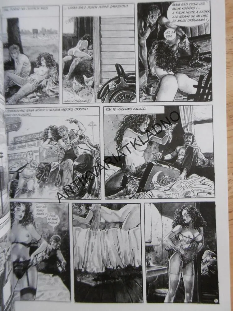 XXX COMIX 2/1999, KOMIKS, EROTIKA