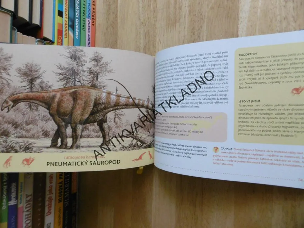 NEZNÁMÍ DINOSAUŘI, VLADIMÍR SOCHA, LUBOMÍR KUPČÍK, **an