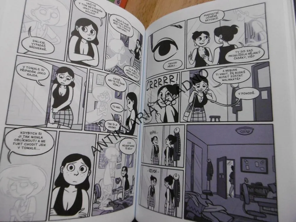 ANIN DUCH, VERA BROSGOLOVÁ, KOMIKS