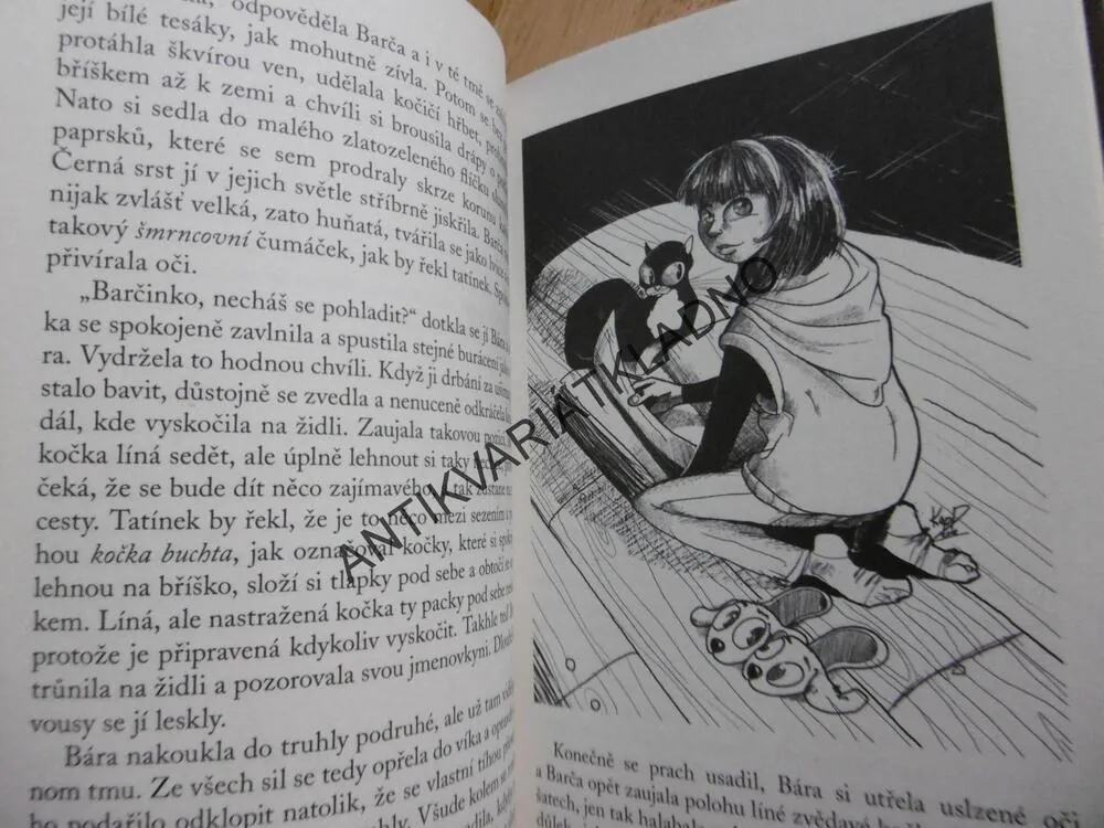 KAREL IV. PŘÍBĚH ČESKÉHO KRÁLE, DOBRODRUŽNÉ VÝPRAVY DO MINULOSTI, VERONIKA VÁLKOVÁ, PETR KOPL, **an
