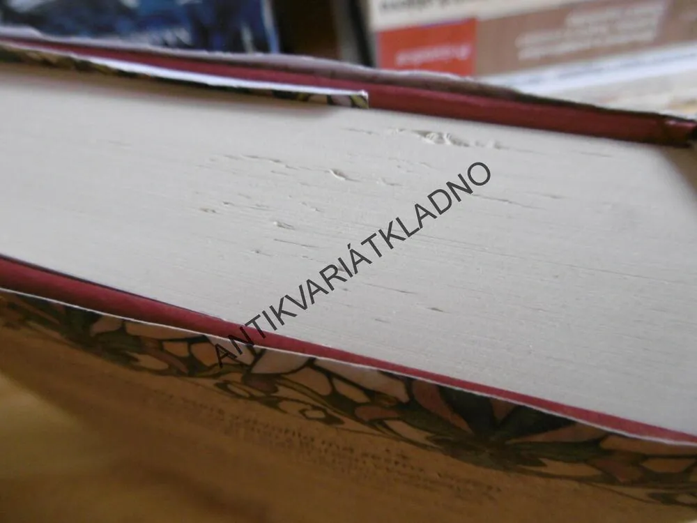 POLEDNE U TIFFANYHO, ECHO HERONOVÁ