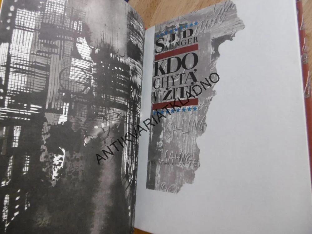 KDO CHYTÁ V ŽITĚ, J.D. SALINGER, **an