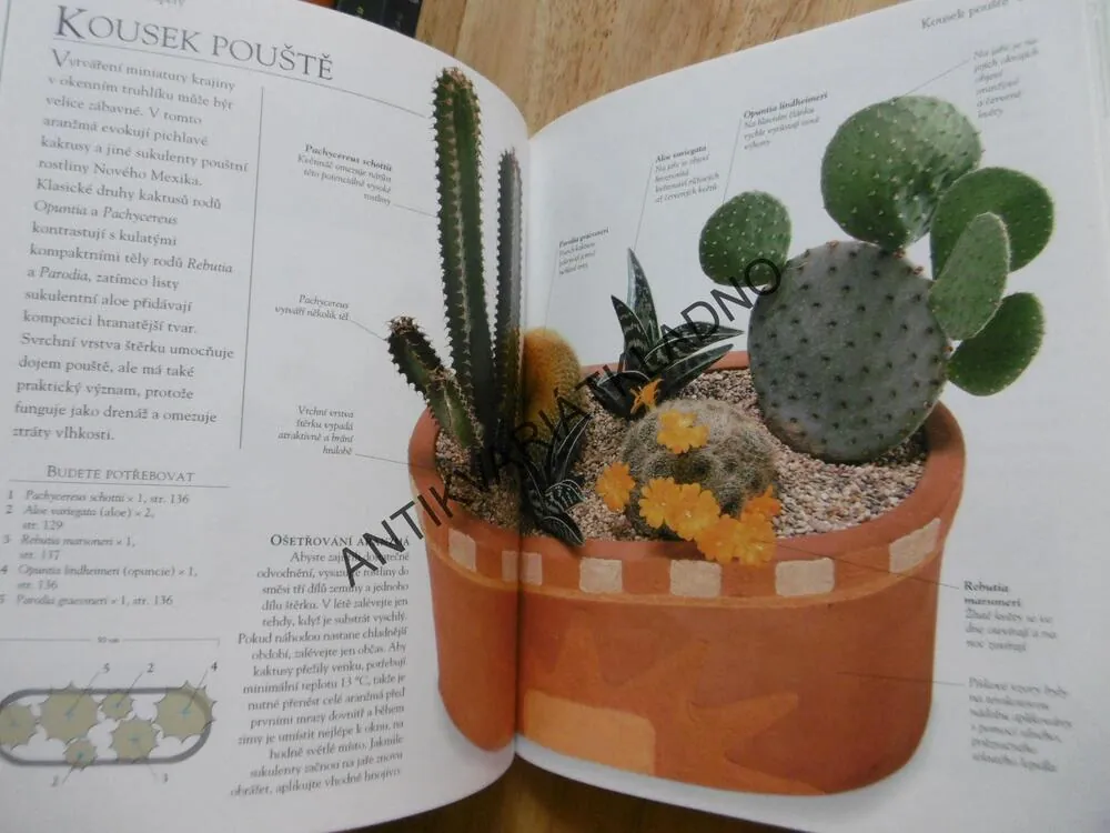 ZAHRADNÍKEM BEZ ZAHRADY, GAY SEARCHOVÁ, **an