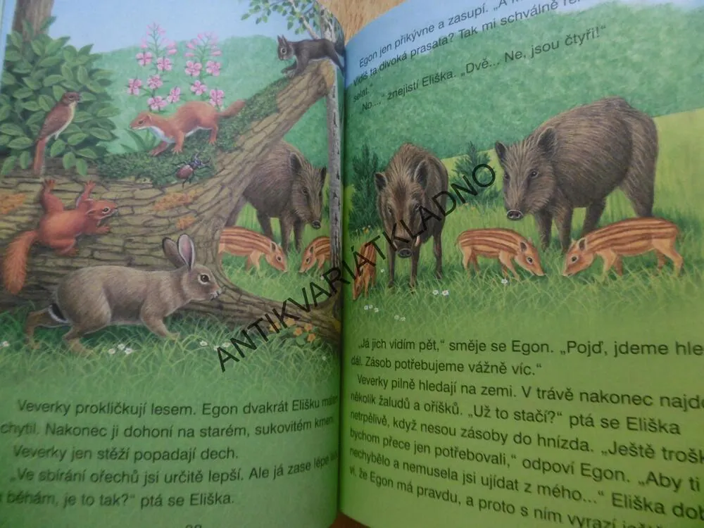 ČTENÍ O ZVÍŘÁTKÁCH S VELKÝMI PÍSMENY, **an