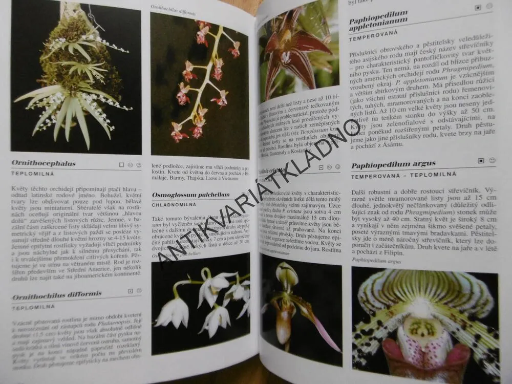 ENCYKLOPEDIE ORCHIDEJE, ZDENĚK JEŽEK