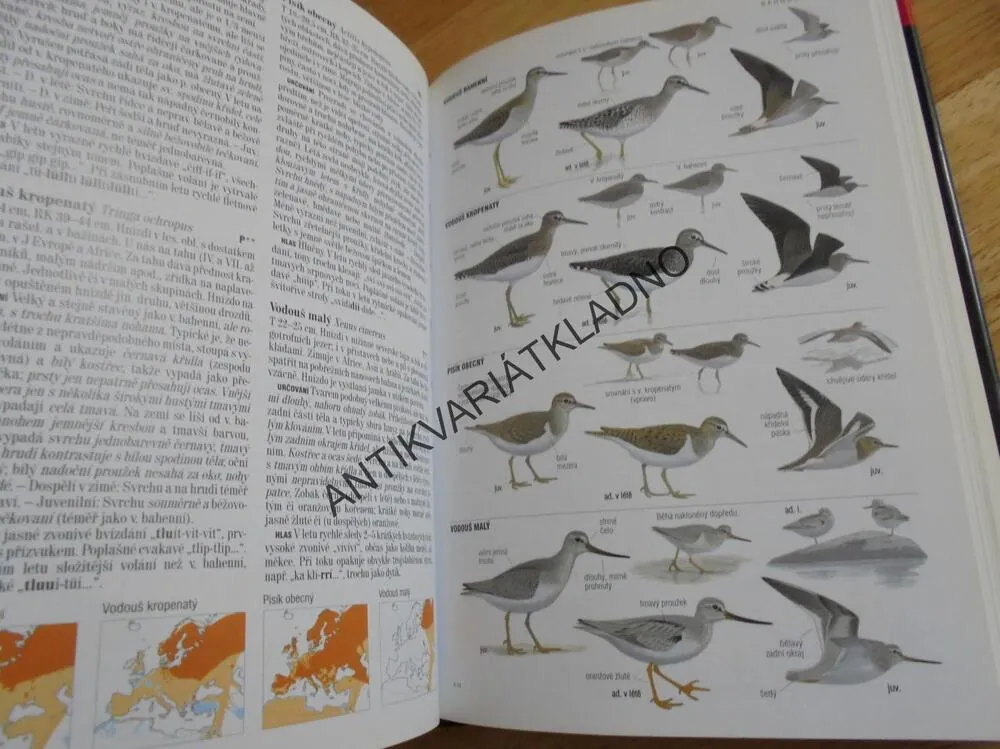 PTÁCI EVROPY,S.AFRIKY,BLÍZKÝ VÝCHOD, PŘÍRUČKA, ATLAS