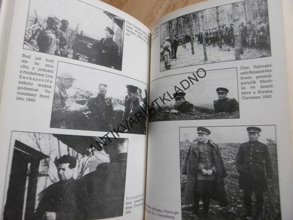 MECHLIS, JURIJ RUBCOV, **an