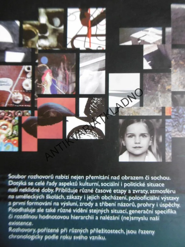 NEOČEKÁVANÉ NÁHODY, RADAN WAGNER, TŘICET ROZHOVORŮ O UMĚNÍ , UMĚNÍ VÝTVARNÉ, **an