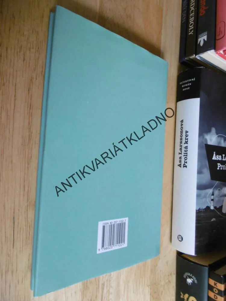 IMAGINÁRNÍ PŘÍTELKYNĚ, JOHN IRVING, **an