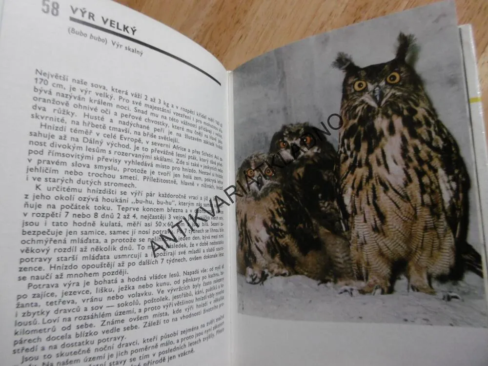 KAPESNÍ ATLAS PTÁKŮ, BOUCHNER, **an