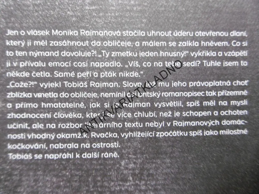 VZPOURA POKOŘENÝCH ANDĚLŮ, ROMAN CÍLEK, **an