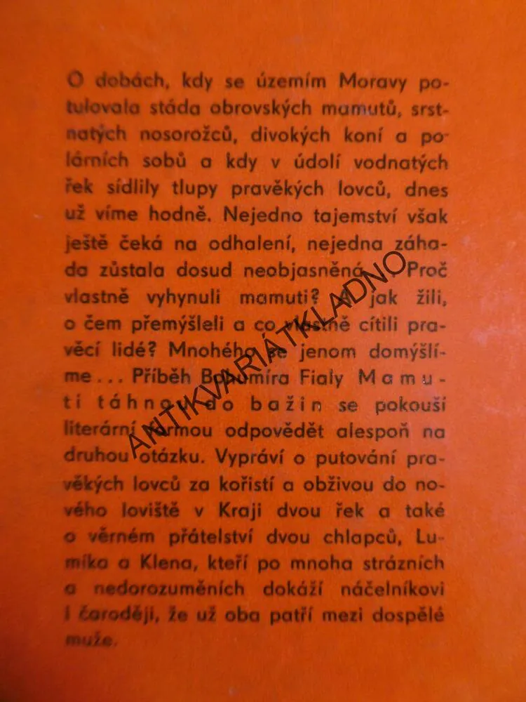 MAMUTI TÁHNOU DO BAŽIN, BOHUMÍR FIALA,