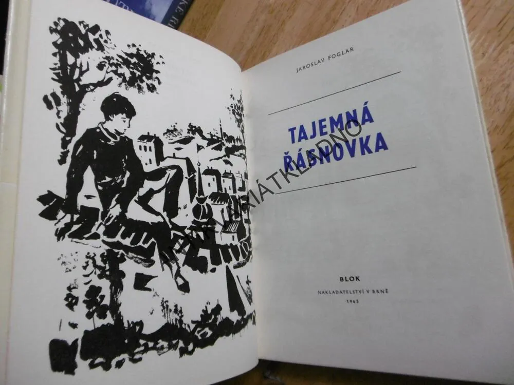 TAJEMNÁ ŘÁSNOVKA, JAROSLAV FOGLAR, 1965, **an