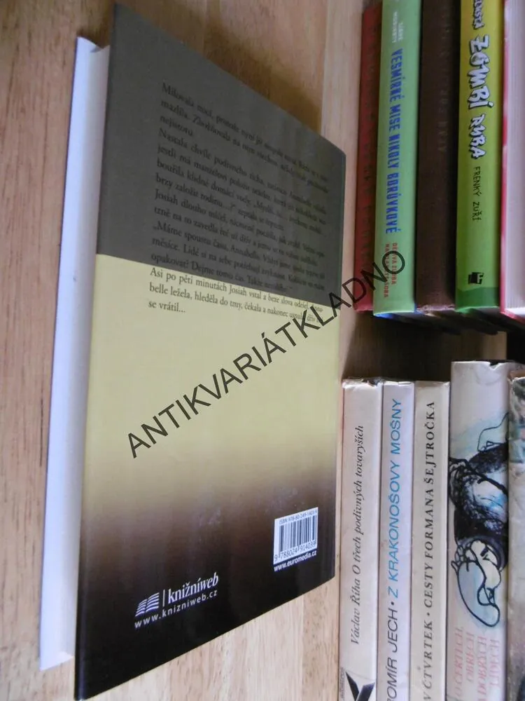 ŠLECHETNÁ ŽENA, DANIELLE STEEL