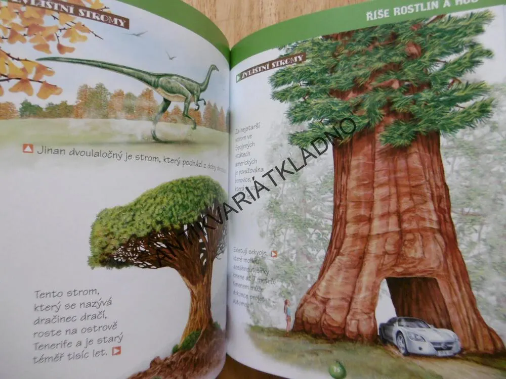 PŘÍRODA KOLEM NÁS, DĚTSKÁ ILUSTROVANÁ ENCYKLOPEDIE, **an
