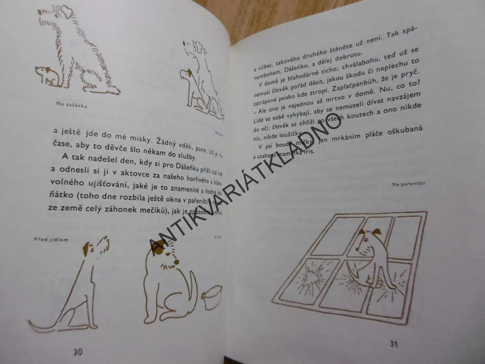 DÁŠENKA, ČILI ŽIVOT ŠTĚNĚTE, KAREL ČAPEK,1988, **an