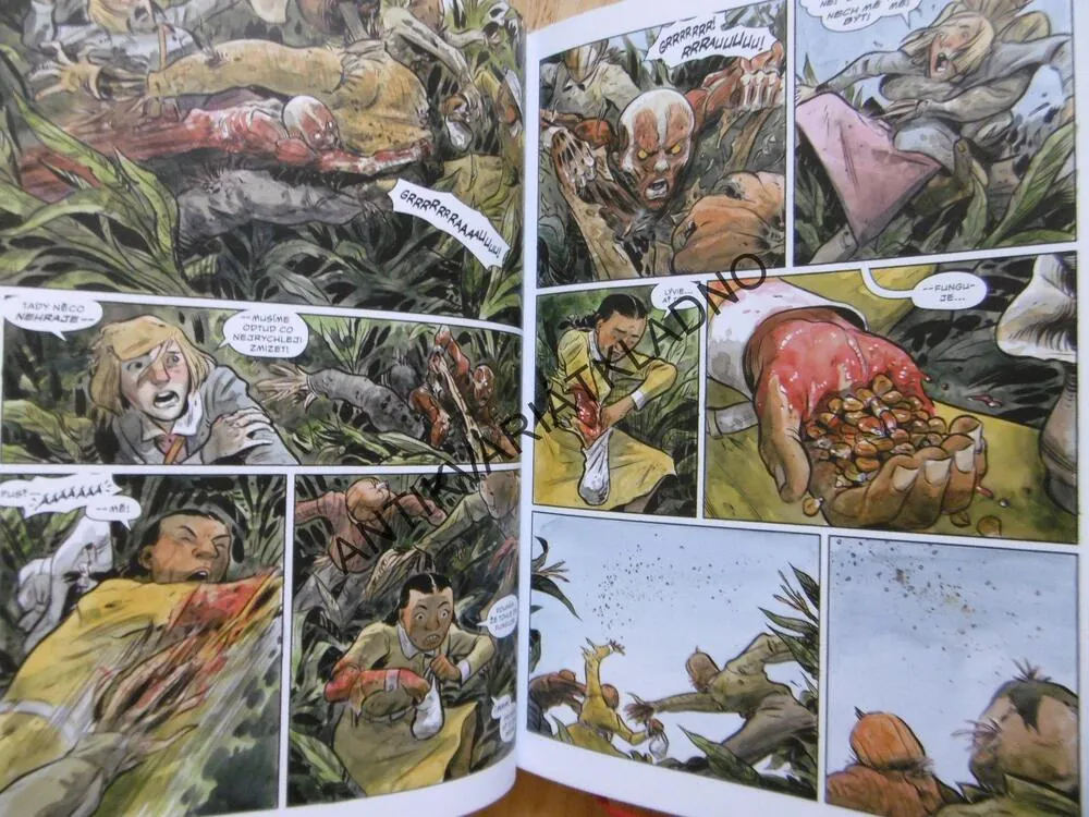 POCHMURNÝ KRAJ,4., RODOKMEN, CULLEN BUNN, TYLER CROOK, KOMIKS, **an
