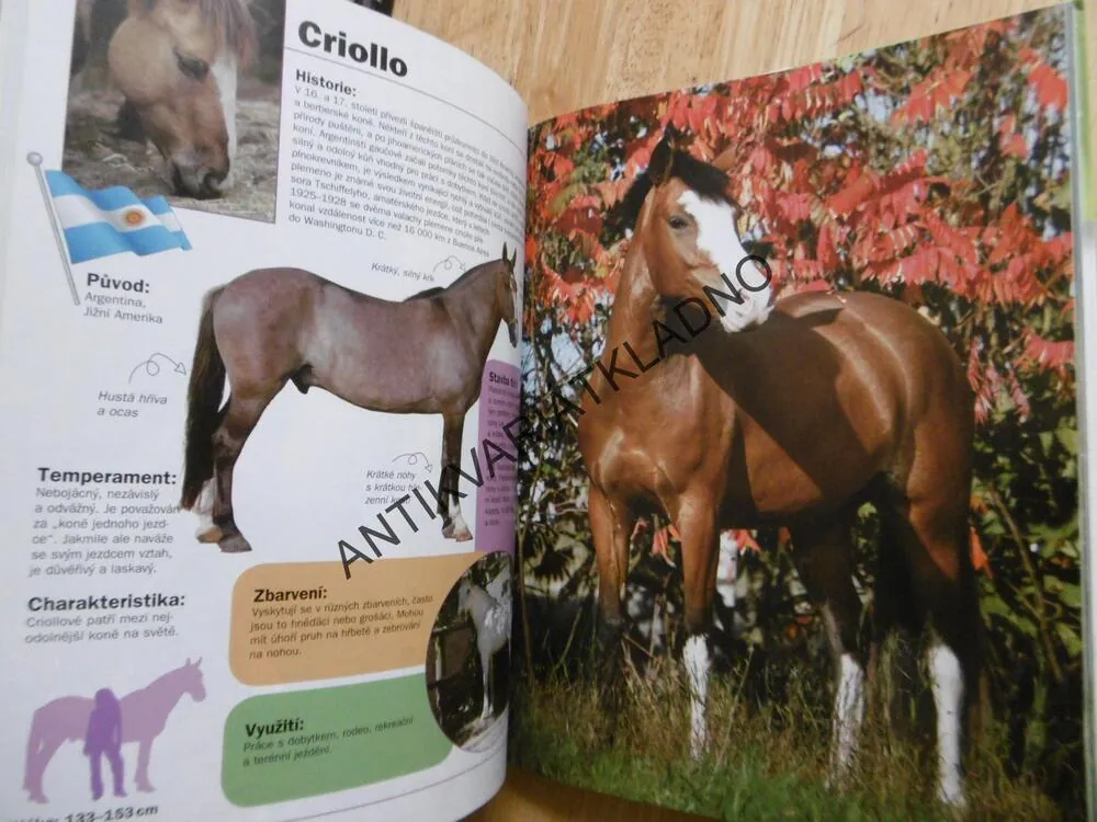 SVĚT KONÍ A PONÍKŮ, CYNTHIA MCFARLAND